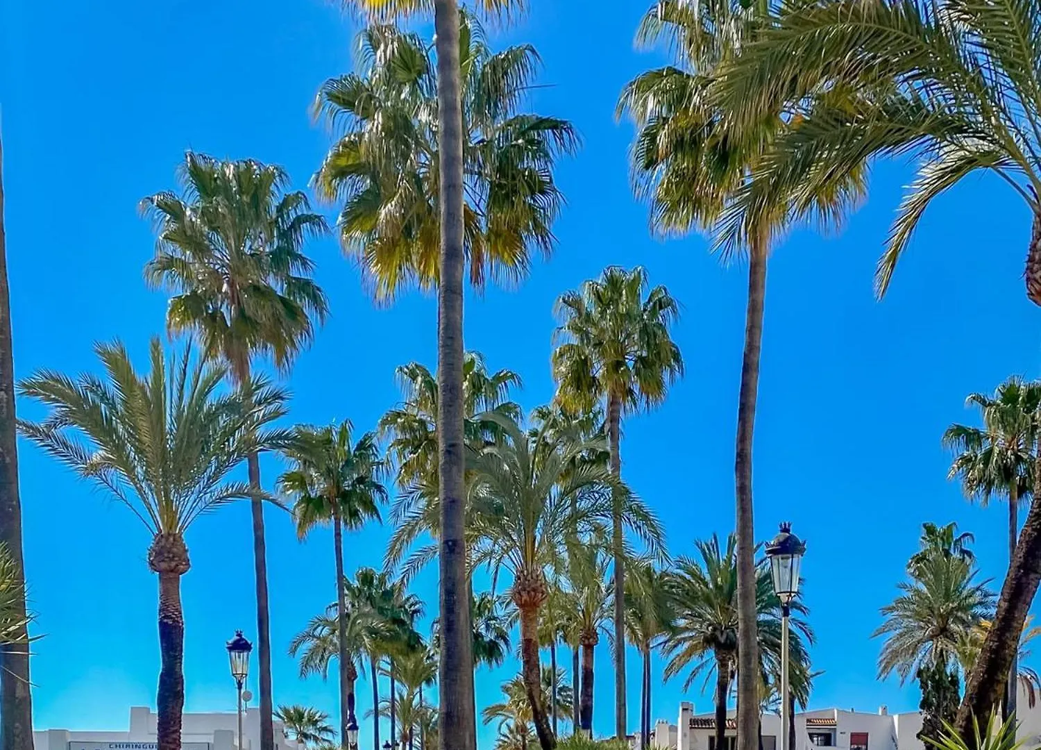 Casares Del Sol 2426 Penthouse With Seaviews Apartman 0*,